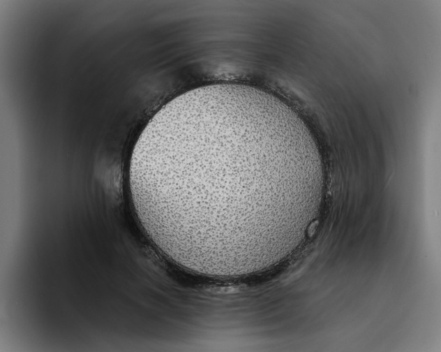 X0000094210646200711161829