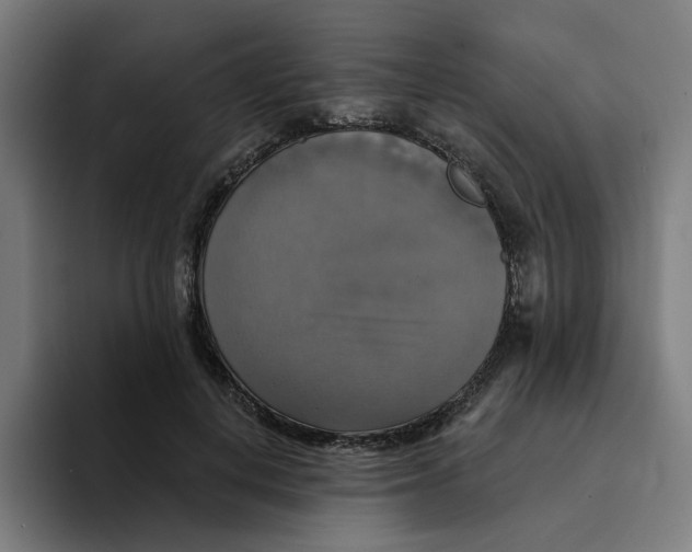 X0000094210648200711161829