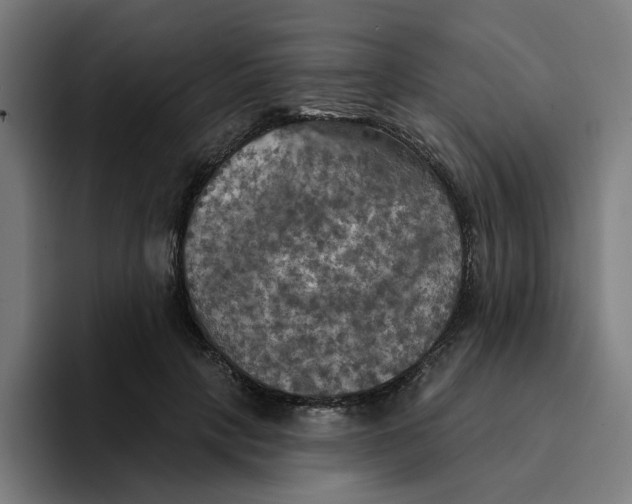 X0000094210649200711161829