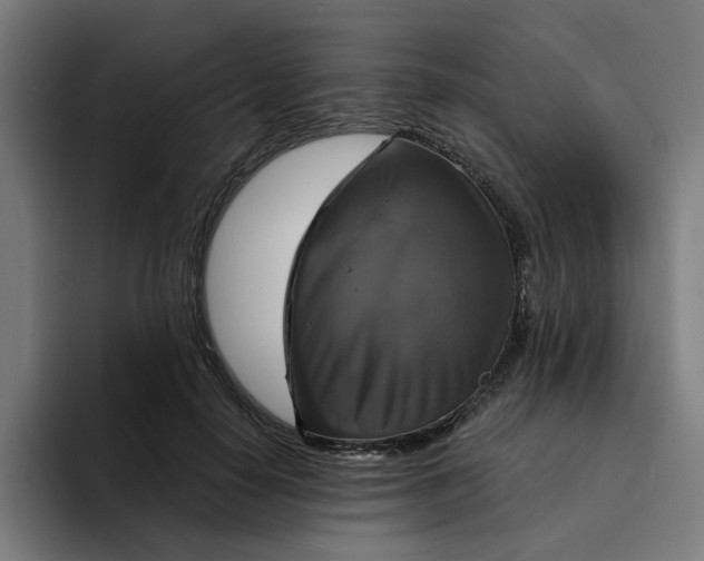 X0000094210650200711161829