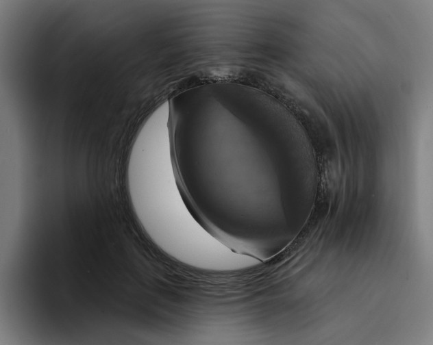 X0000094210651200711161830