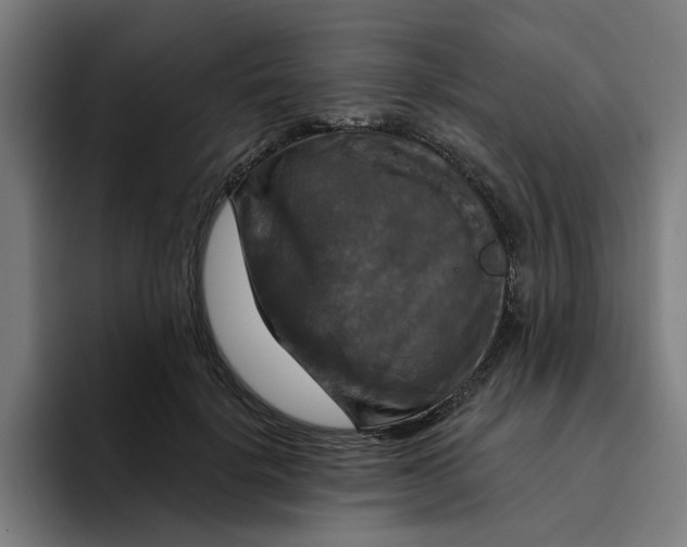 X0000094210652200711161830