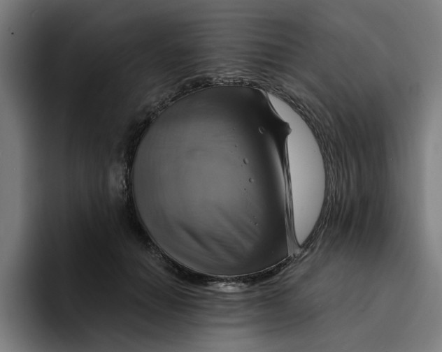 X0000094210654200711161830