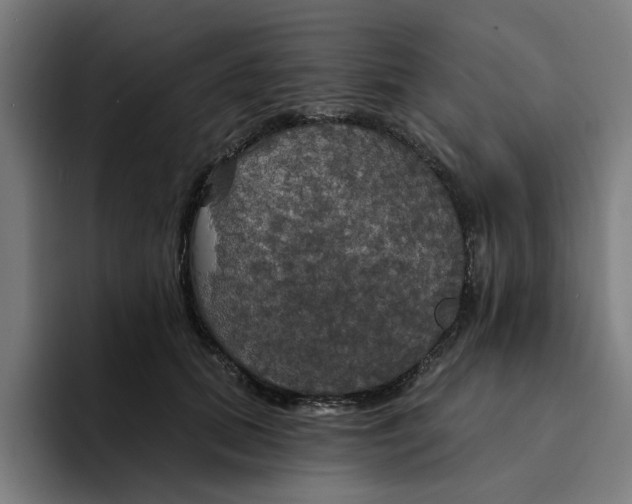 X0000094210655200711161830