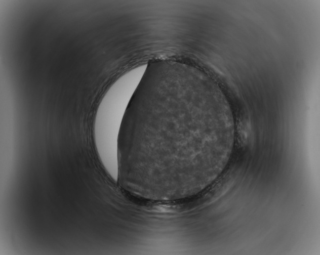 X0000094210657200711161830