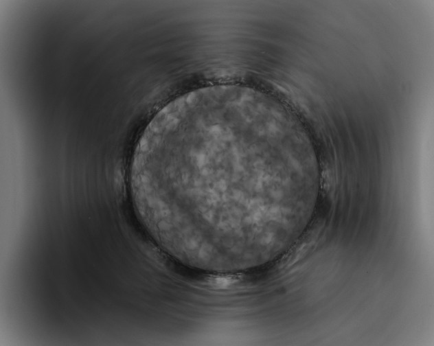 X0000094210662200711161830