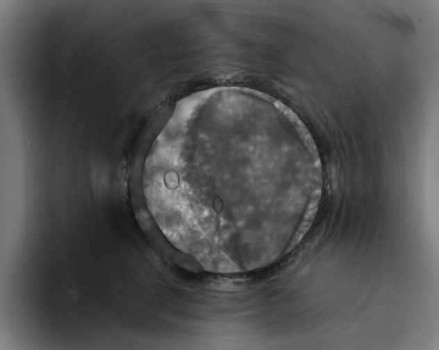 X0000094210664200711161830