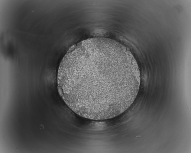 X0000094210665200711161830