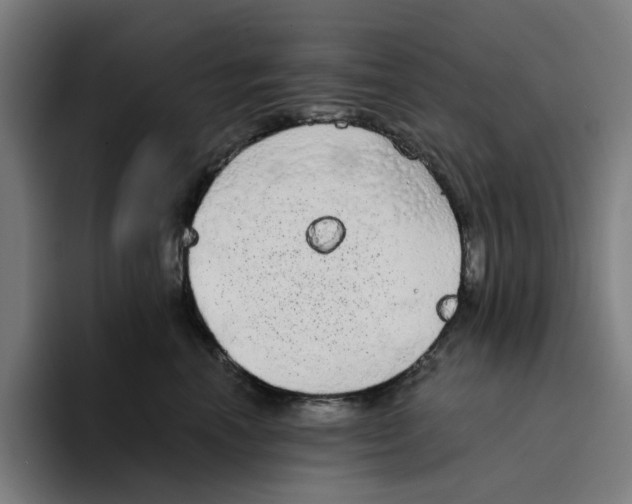 X0000094210666200711161830