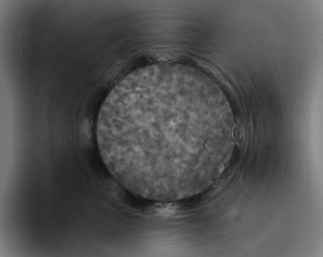 X0000094210667200711161830