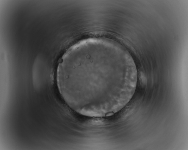 X0000094210668200711161830