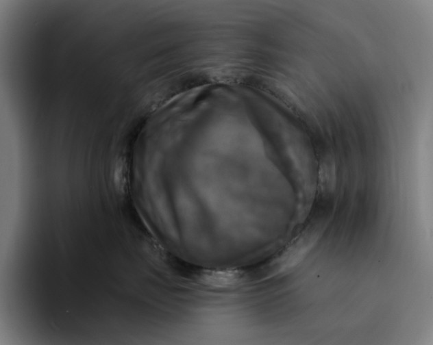 X0000094210671200711161830