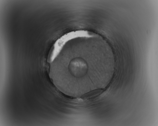 X0000094210672200711161830