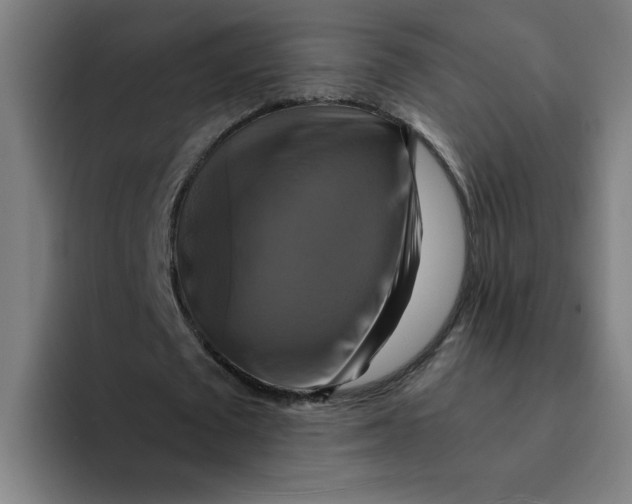 X0000094210673200711161829