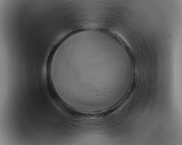 X0000094210674200711161829
