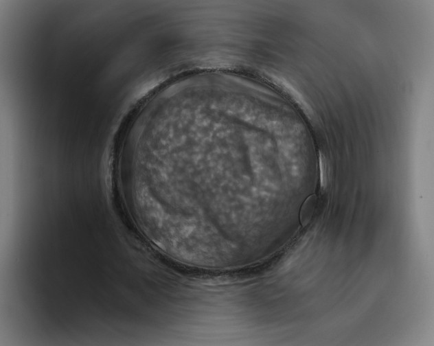 X0000094210675200711161829