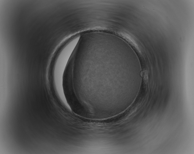 X0000094210676200711161829