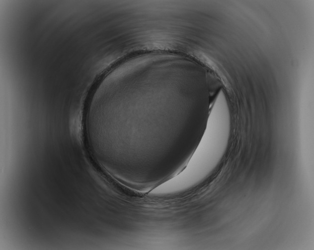 X0000094210677200711161829