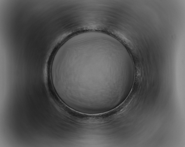 X0000094210678200711161829