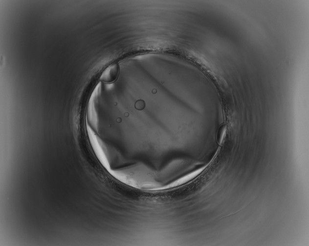 X0000094210679200711161829