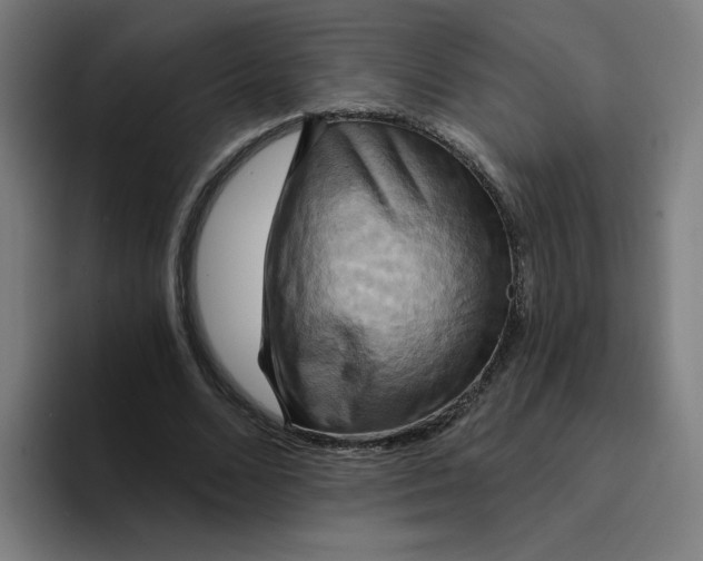 X0000094210680200711161829