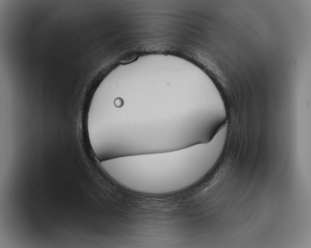X0000094210681200711161829