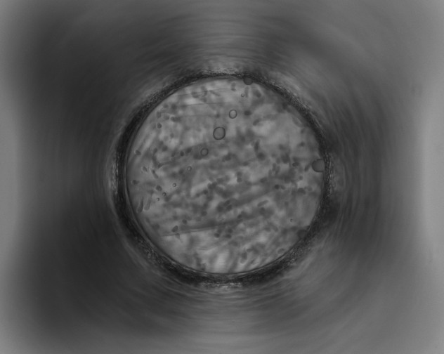 X0000094210683200711161829