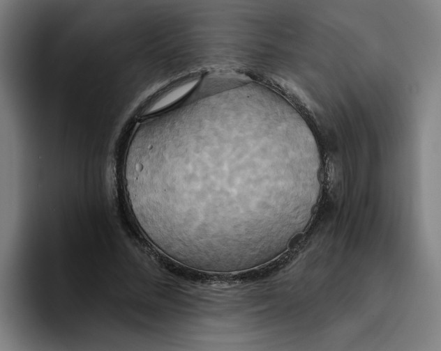 X0000094210684200711161829