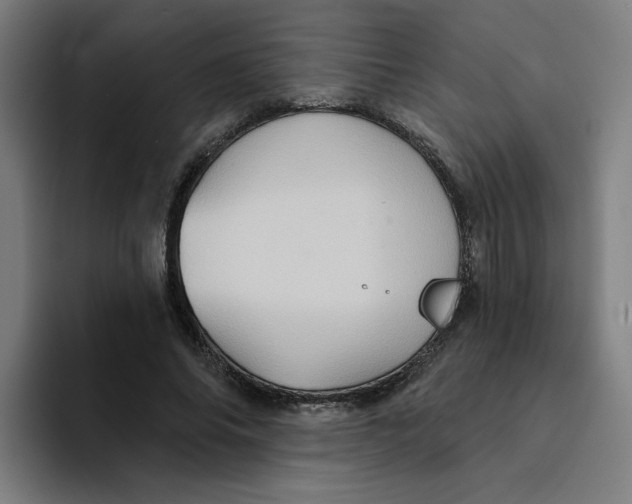 X0000094210686200711161829