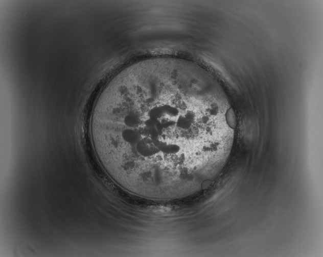 X0000094210687200711161829