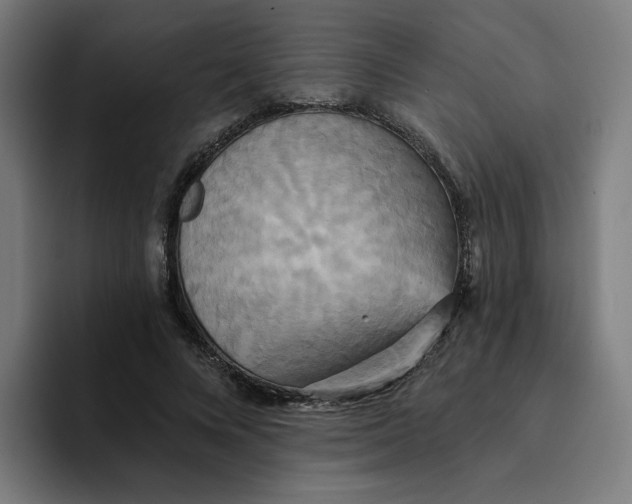 X0000094210688200711161829