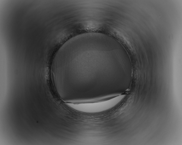 X0000094210689200711161829