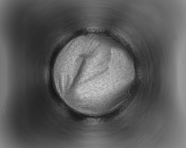 X0000094210690200711161829