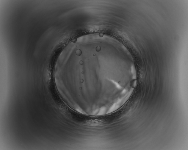 X0000094210691200711161829