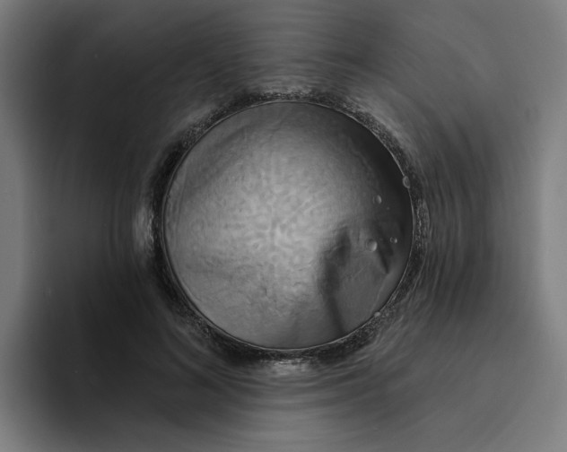 X0000094210692200711161829