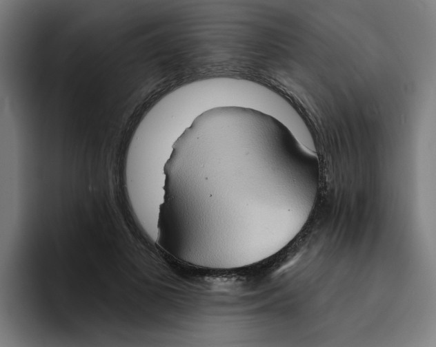 X0000094210693200711161829