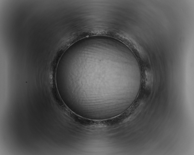 X0000094210696200711161829