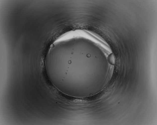 X0000094210699200711161829