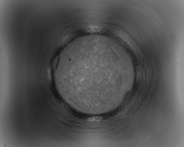 X0000094210700200711161829