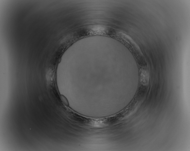X0000094210701200711161829