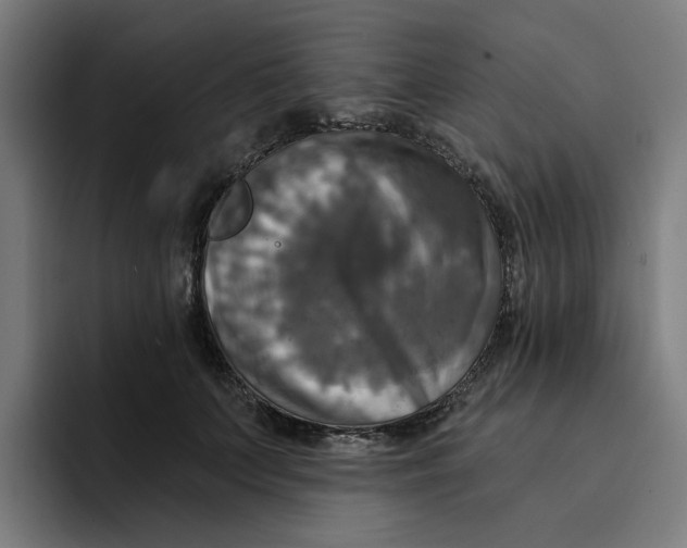 X0000094210703200711161829