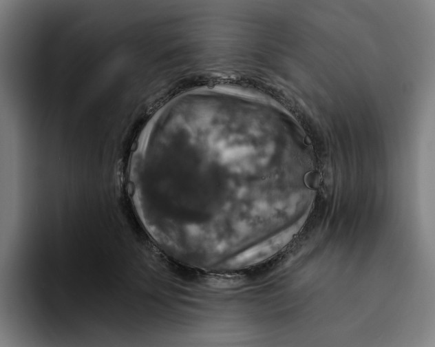 X0000094210707200711161829