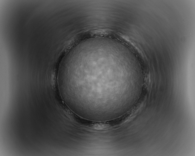 X0000094210708200711161829