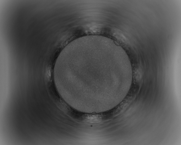 X0000094210709200711161829