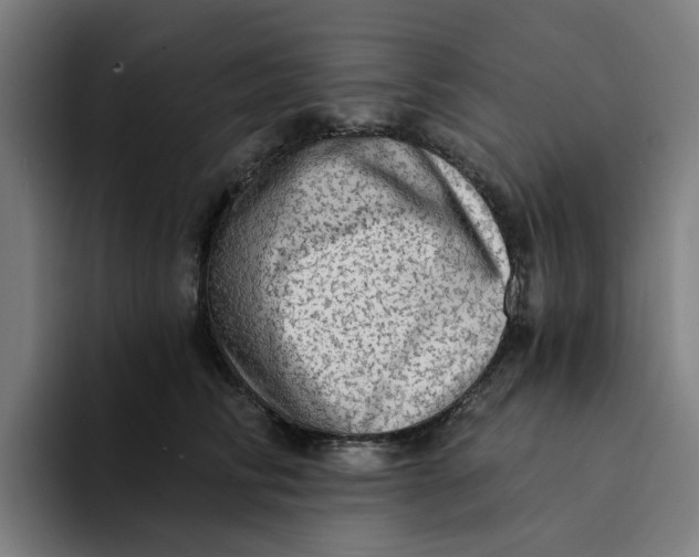 X0000094210710200711161829