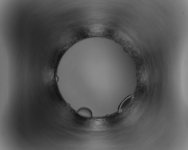 X0000094210711200711161829