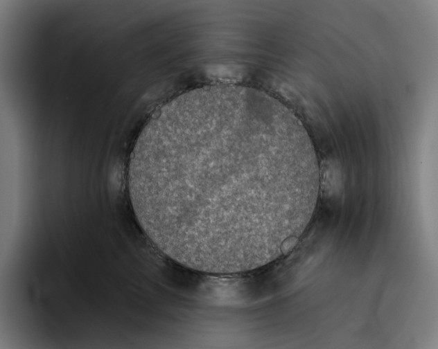 X0000094210713200711161829