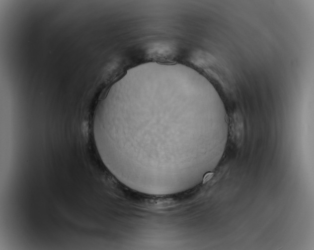 X0000094210716200711161829