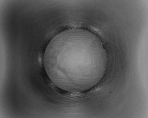 X0000094210720200711161829