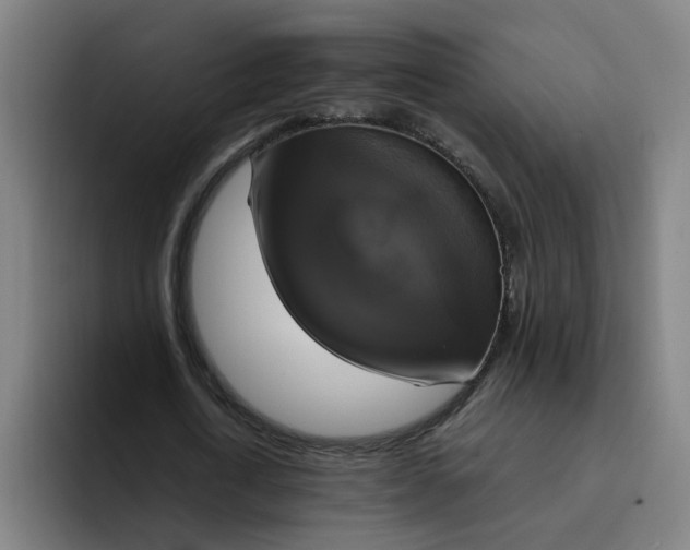 X0000094210722200711161828